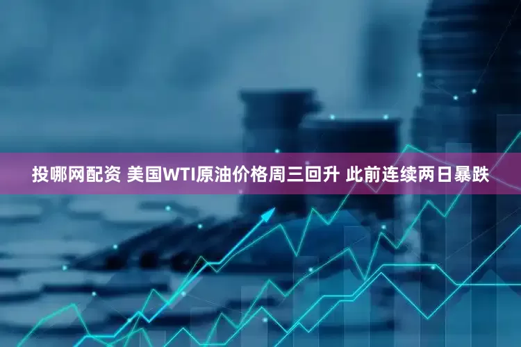 投哪网配资 美国WTI原油价格周三回升 此前连续两日暴跌