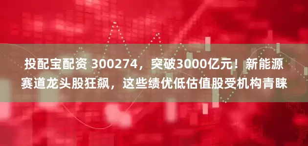 投配宝配资 300274，突破3000亿元！新能源赛道龙头股狂飙，这些绩优低估值股受机构青睐
