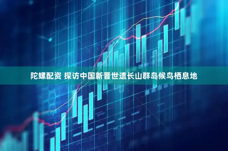 陀螺配资 探访中国新晋世遗长山群岛候鸟栖息地